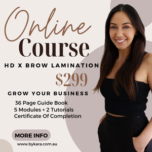 HD x Brow Lamination Online Masterclass